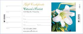 Gift Certificate #6